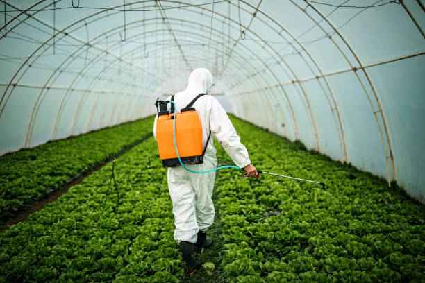 Best Pest Control Treatment  in Centerport, NY