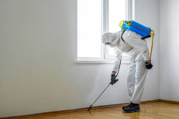 Flea Control Services in Centerport, NY